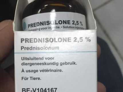 prednisolone 2.5 % injection