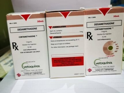 Dexamethasone injection