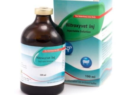 Buy Nitroxyvet Injectable Solution, 100 ML