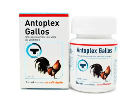 Antoplex Gallos For Sale Online