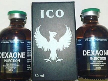 DEXAONE
