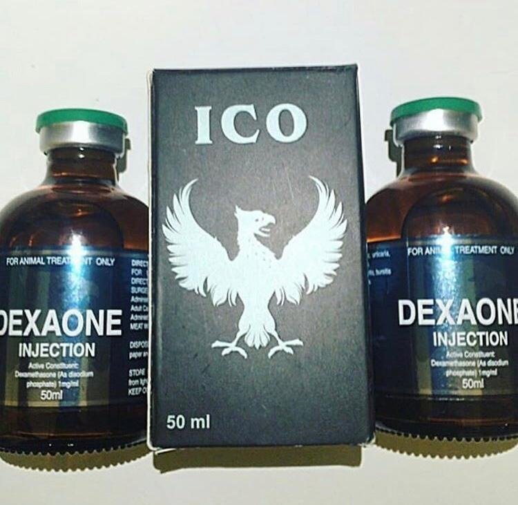 DEXAONE.jpg