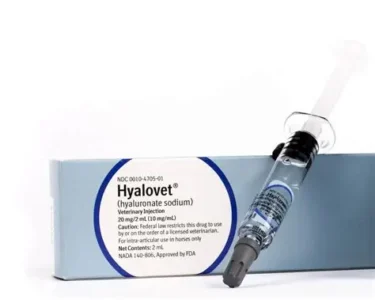 Buy Hyalovet Injection (Hyaluronate Sodium) 20mg/2mL Hyalovet Injection