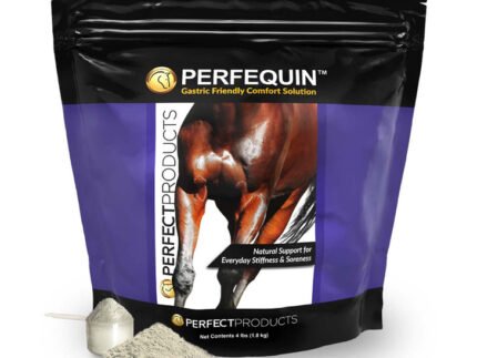 Buy Perfequin Comfort Powder Online