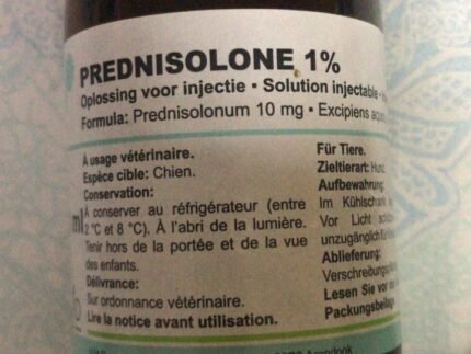 Prednisolone 1%