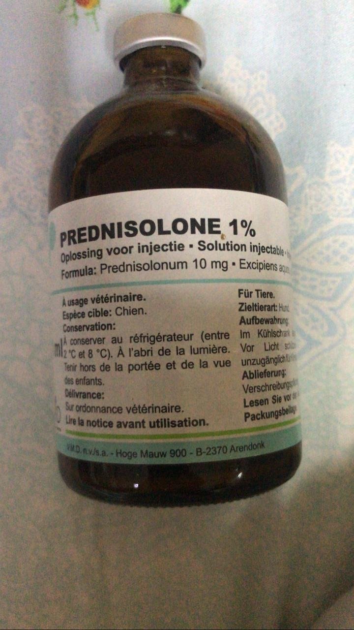 Prednisolone.jpg