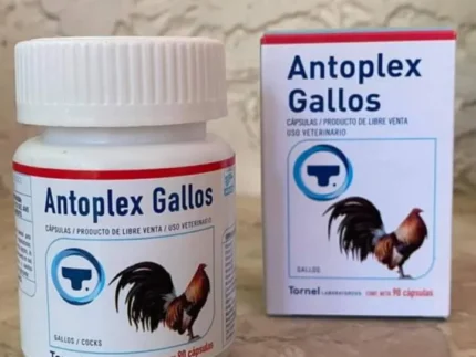 Antoplex Gallos For Sale Online