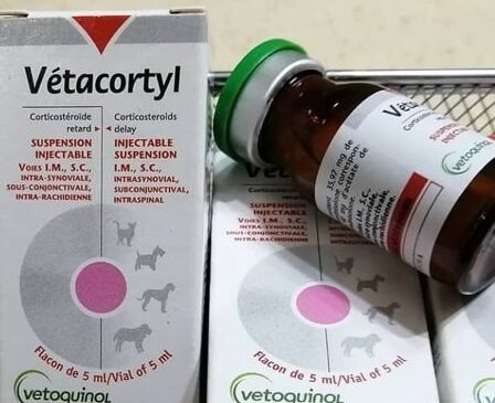 VETACORTYL-–-5ML-e1630325800952.jpg