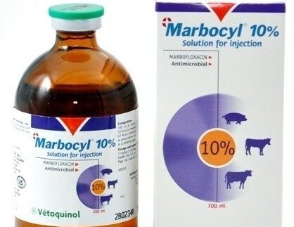 Marbocyl 10% 100ml