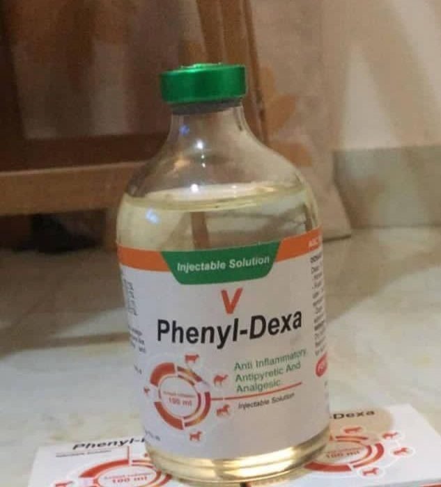Buy Phenyl-dexa 100ml Online