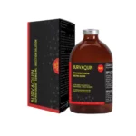 Burvaquin For Sale Online
