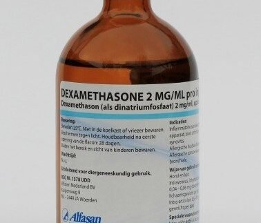 Dexamethasone 2 mg/ml 100 ml