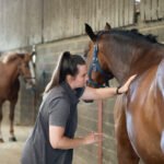 Horse Ulcer & Digestive Medicines