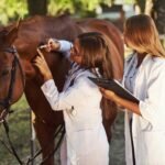 Human Growth Hormone Hgh