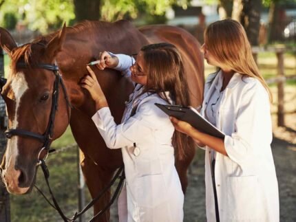 Human Growth Hormone Hgh