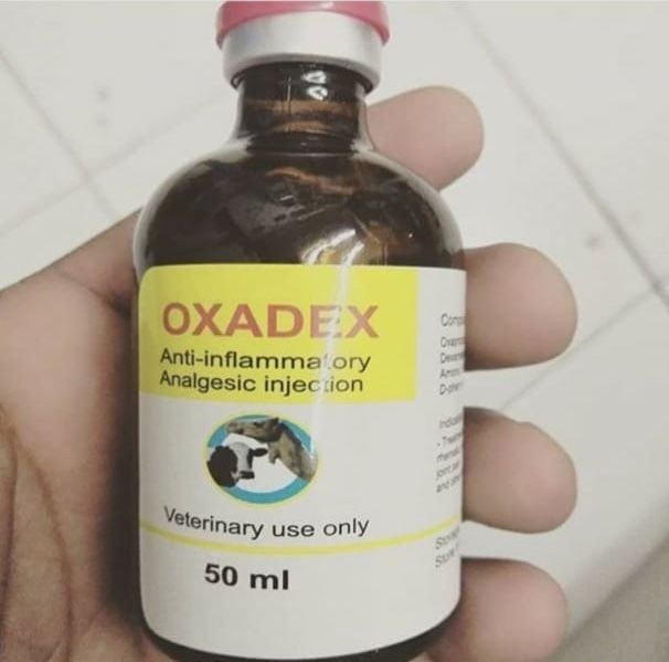 oxadex-injection.jpg