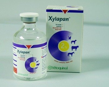 xylapan
